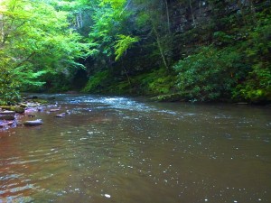 River_near_Cherokee