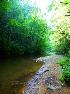 River_near_Cherokee_2